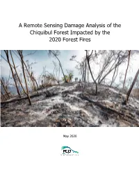 Chiquibul Fires Damage Analysis