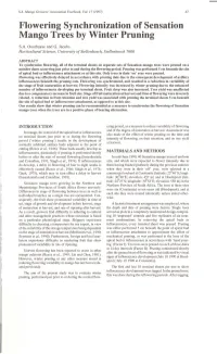 Flowering Synchronization of Sensation Mango Trees by Winter Pruning