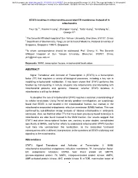 STAT3 Localizes in Mitochondria-Associated ER Membranes Instead of in Mitochondria