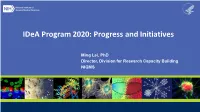Idea Program 2020: Progress and Initiatives