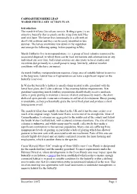 Marsh Fritillarysap.Pdf