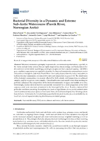 Bacterial Diversity in a Dynamic and Extreme Sub-Arctic Watercourse (Pasvik River, Norwegian Arctic)