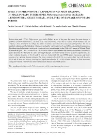 Effect of Pheromone Trap Density on Mass Trapping Of