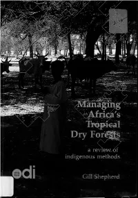 Managing Africa's Tropical Dry Forests: a Review of Indigenous Methods