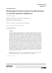 Morphological Studies on Seeds of Scrophulariaceae S.L. and Their Systematic Significance