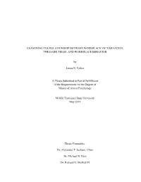 Examining the Relationship Between Workplace Victimization, the Dark Triad, and Workplace Behavior