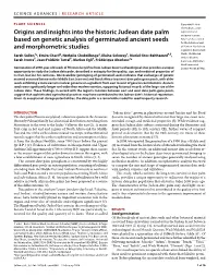 Origins and Insights Into the Historic Judean Date Palm Based on Genetic Analysis of Germinated Ancient Seeds and Morphometric S
