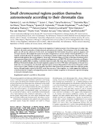 Small Chromosomal Regions Position Themselves Autonomously According to Their Chromatin Class