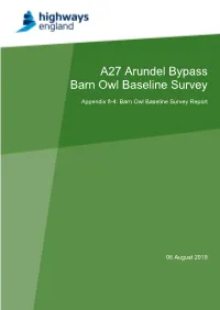 A27 Arundel Bypass Barn Owl Baseline Survey
