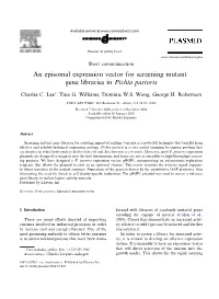 An Episomal Expression Vector for Screening Mutant Gene Libraries in Pichia Pastoris