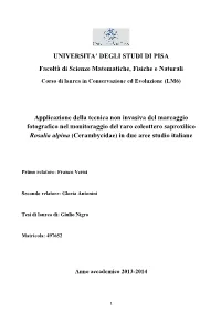 UNIVERSITA' DEGLI STUDI DI PISA Facoltà Di Scienze Matematiche
