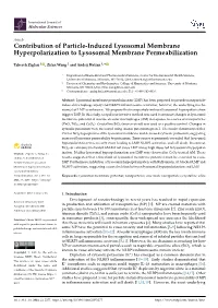 Contribution of Particle-Induced Lysosomal Membrane Hyperpolarization to Lysosomal Membrane Permeabilization