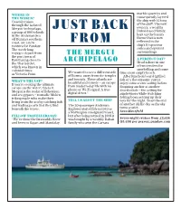 Just Back from the Mergui Archipelago