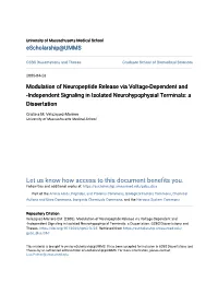 Modulation of Neuropeptide Release Via Voltage-Dependent and -Independent Signaling in Isolated Neurohypophysial Terminals: a Dissertation