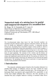 Numerical Study of a Mixing Layer in Spatial and Temporal Development of a Stratified Flow M. Biage, M. S. Fernandes & P. Lo