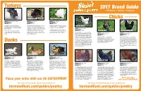 2017 Breed Guide Ducks Turkeys Chicks