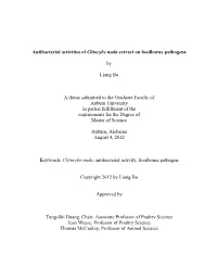 Antibacterial Activities of Clitocybe Nuda Extract on Foodborne Pathogens