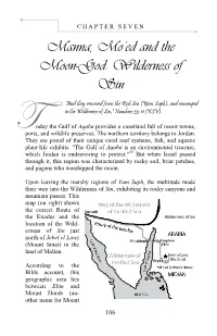 Chapter 7: Camp 7