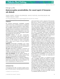 Hymenoscyphus Pseudoalbidus, the Causal Agent of European Ash Dieback