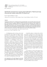 (Ascomycota) Isolates Using Rdna-ITS Sequences