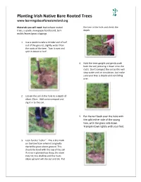Planting Irish Native Bare Rooted Trees