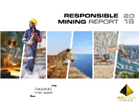 Responsible Mining Report