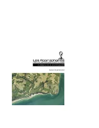 Dossier De Partenariat 6E Édition Les 20, 21, 22 Et 23 Juin 2007