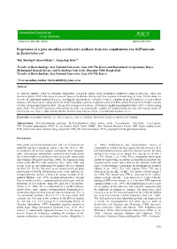 Expression of a Gene Encoding Acetolactate Synthase from Rice Complements Two Ilvh Mutants in Escherichia Coli