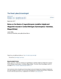 Notes on the Nests of &lt;I&gt;Augochloropsis Metallica Fulgida