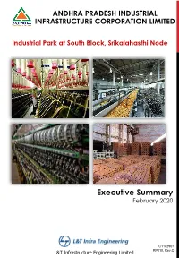 Executive Summary February 2020