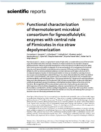 Functional Characterization of Thermotolerant Microbial Consortium