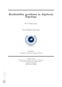 Realisability Problems in Algebraic Topology