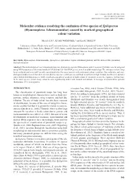 Molecular Evidence Resolving the Confusion of Two Species of Spilopteron (Hymenoptera: Ichneumonidae) Caused by Marked Geographical Colour Variation
