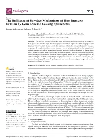 The Brilliance of Borrelia: Mechanisms of Host Immune Evasion by Lyme Disease-Causing Spirochetes