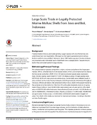 Large-Scale Trade in Legally Protected Marine Mollusc Shells from Java and Bali, Indonesia