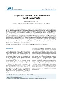 Transposable Elements and Genome Size Variations in Plants