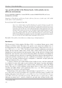 Age, Growth and Diet of the Iberian Loach, Cobitis Paludica in Two Different Environments