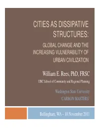 Cities As Dissipative Structures: Global Change and the Increasing Vulnerability of Urban Civilization