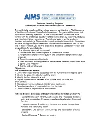 Distance Learning Program Anatomy of the Human Brain/Sheep Brain Dissection