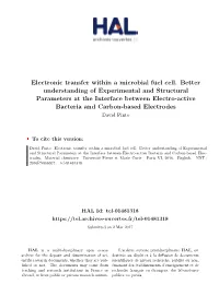 Electronic Transfer Within a Microbial Fuel Cell. Better Understanding of Experimental and Structural Parameters at the Interfac