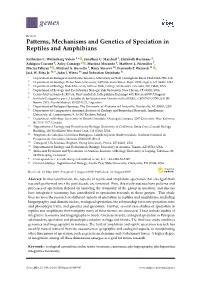 Patterns, Mechanisms and Genetics of Speciation in Reptiles and Amphibians
