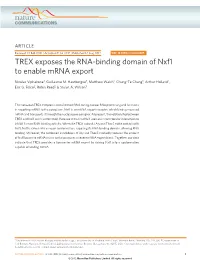 TREX Exposes the RNA-Binding Domain of Nxf1 to Enable Mrna Export