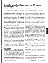 Cerebellar Granule Cell Precursors Can Differentiate Into Astroglial Cells