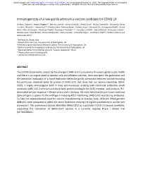 Immunogenicity of a New Gorilla Adenovirus Vaccine Candidate for COVID-19