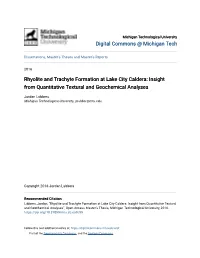 Rhyolite and Trachyte Formation at Lake City Caldera: Insight from Quantitative Textural and Geochemical Analyses