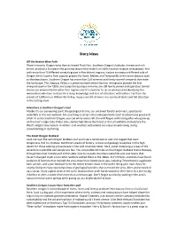 TSO Story Ideas for Website