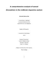 A Comprehensive Analysis of Sexual Dimorphism in the Midbrain Dopamine System