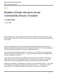 Studies of Brain Structure Boost &#8216;Connectivity Theory&#8217