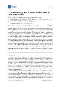 Lysosomal Biology and Function: Modern View of Cellular Debris Bin