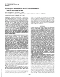 Topological Distribution of Four-A-Helix Bundles (Folding Motif/Solvent Accessibility/Helix Dipole) SCOTT R